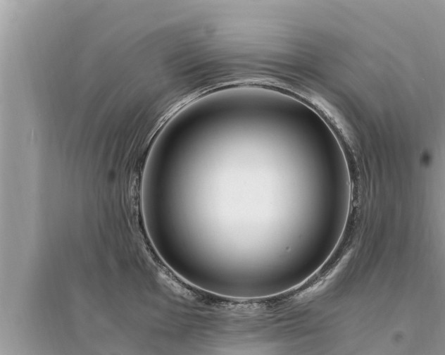 X0000095541001200712211343