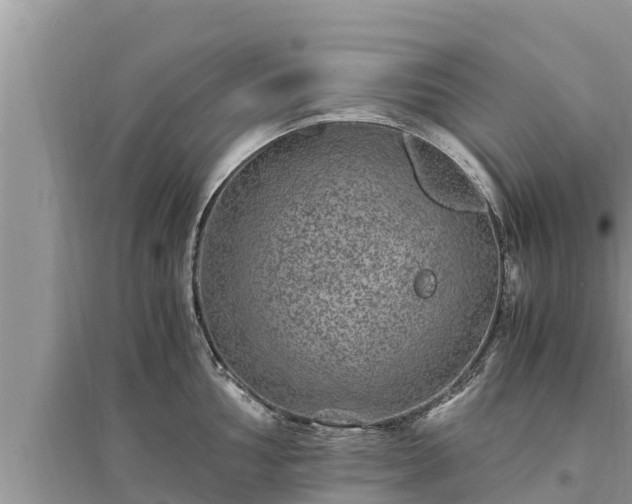 X0000095541002200712211343