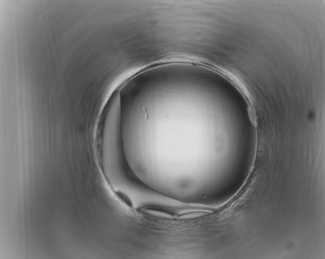 X0000095541003200712211343