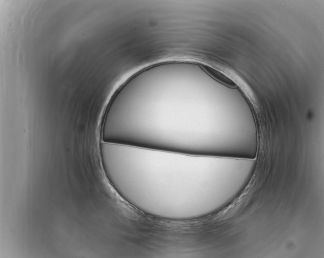 X0000095541004200712211343