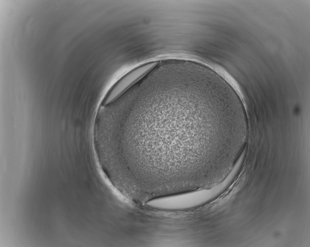 X0000095541005200712211343