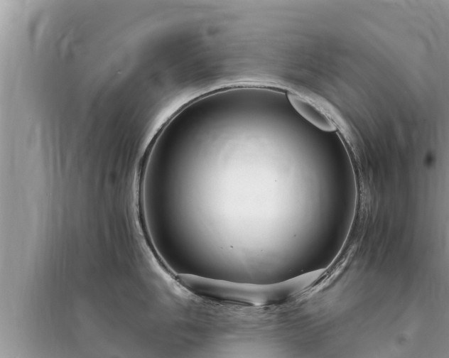 X0000095541006200712211343