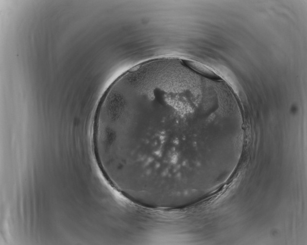 X0000095541007200712211343