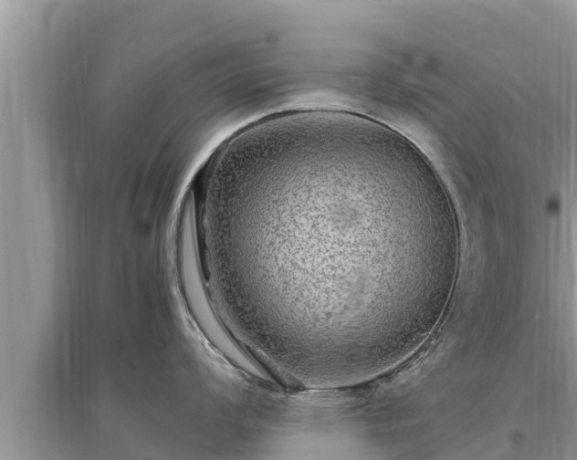 X0000095541008200712211343