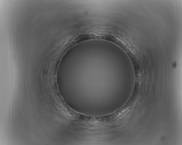 X0000095541009200712211342