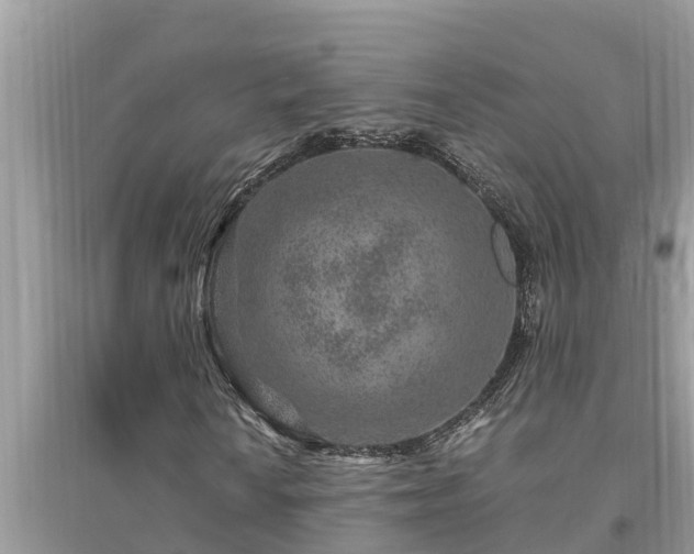 X0000095541010200712211342