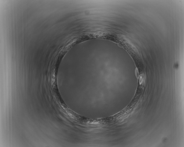 X0000095541011200712211342