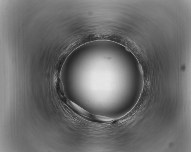 X0000095541012200712211343