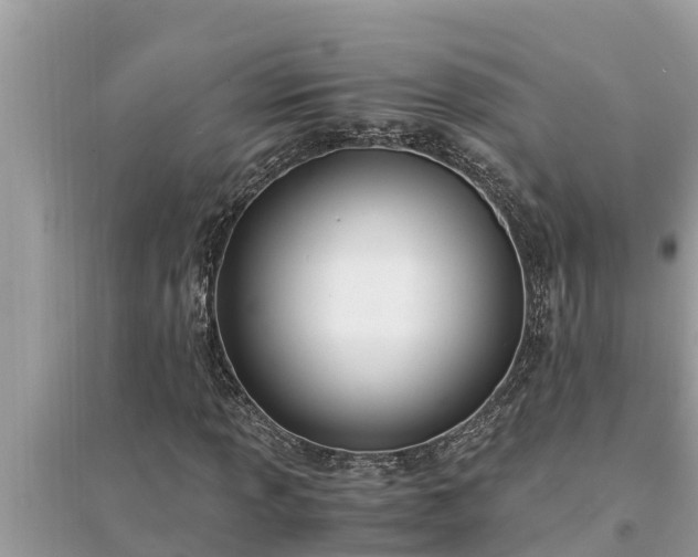 X0000095541013200712211343