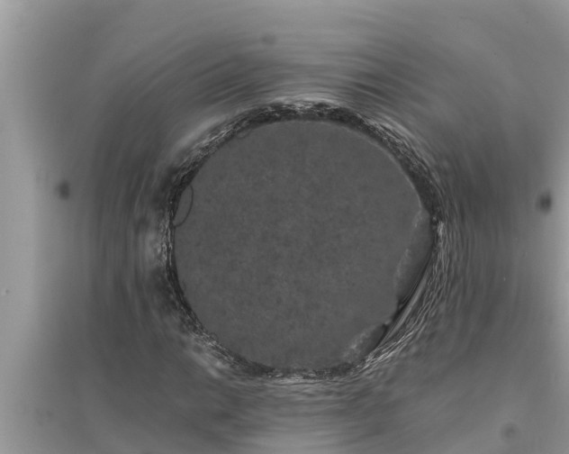 X0000095541014200712211343