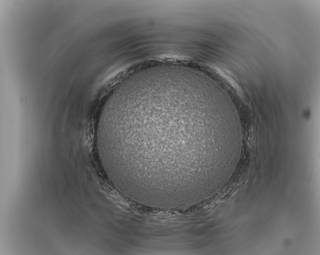 X0000095541015200712211343