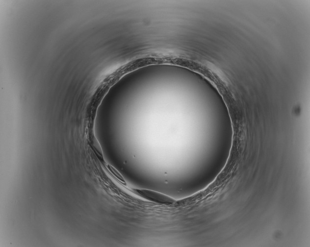 X0000095541016200712211343