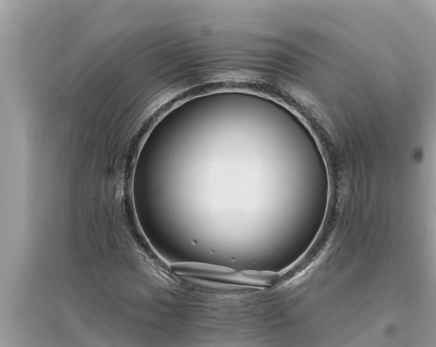 X0000095541017200712211343