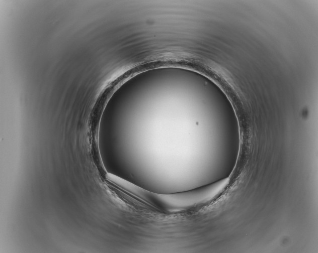 X0000095541018200712211343