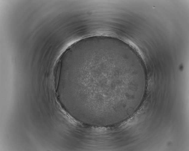 X0000095541019200712211343