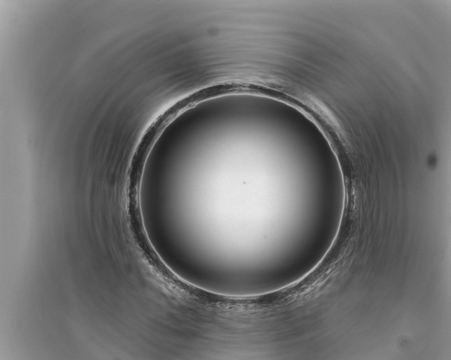 X0000095541020200712211343