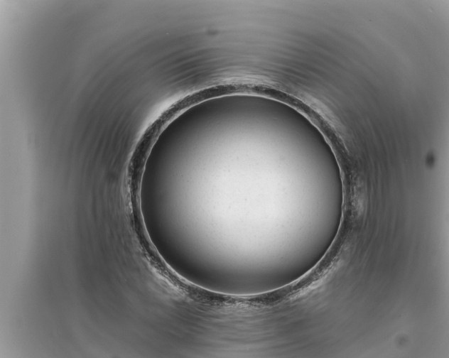 X0000095541022200712211343