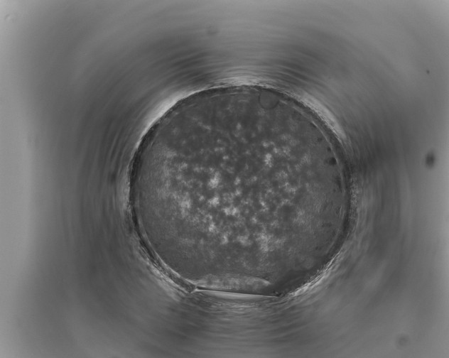 X0000095541023200712211343