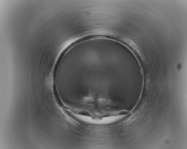 X0000095541024200712211343