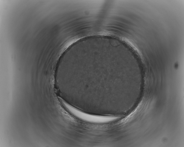 X0000095541025200712211343