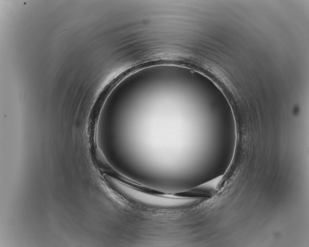 X0000095541026200712211343