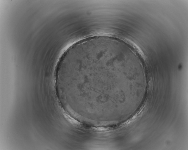 X0000095541027200712211343