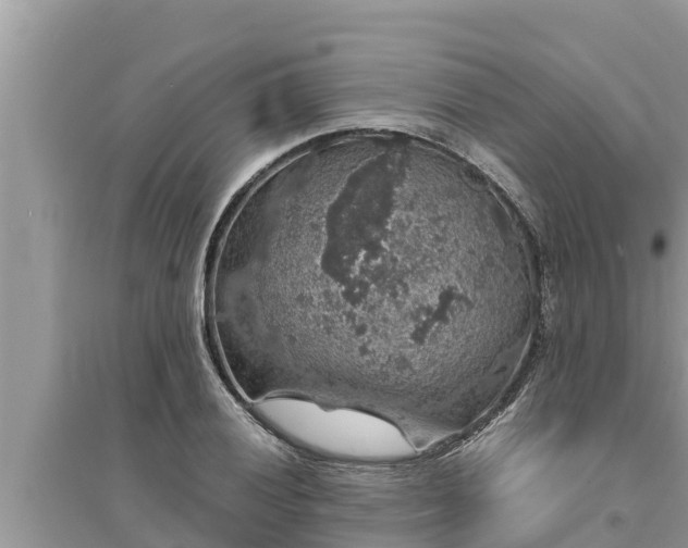 X0000095541028200712211343