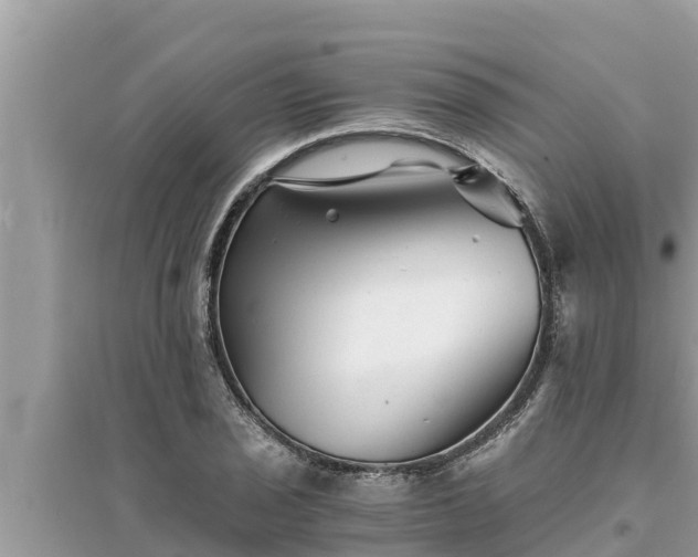 X0000095541029200712211343