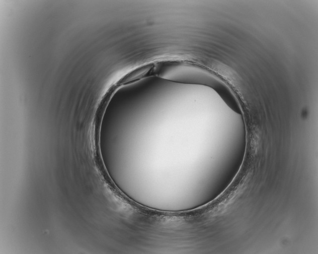 X0000095541030200712211343