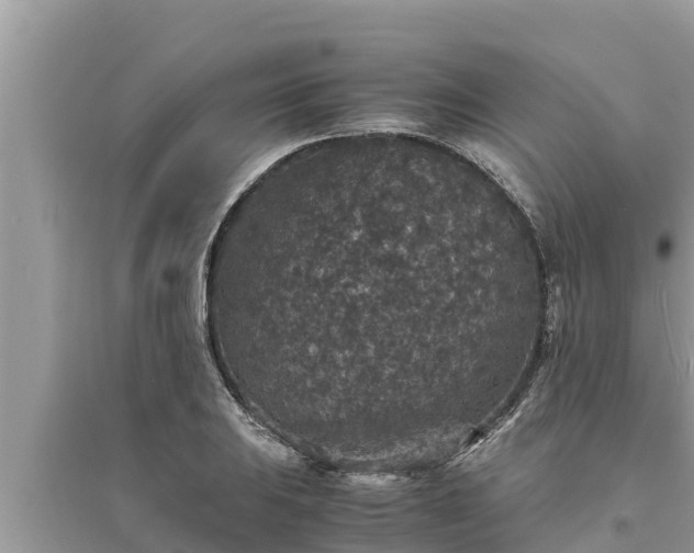 X0000095541031200712211343