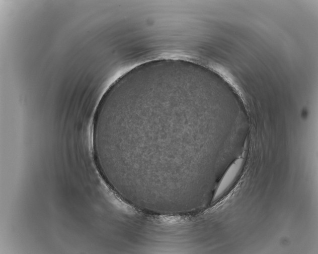 X0000095541032200712211343