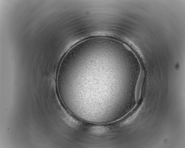 X0000095541033200712211343