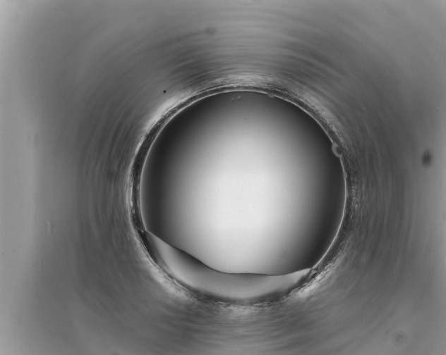 X0000095541034200712211343