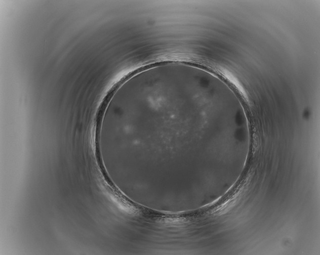 X0000095541035200712211343