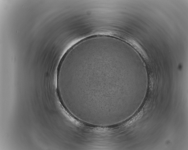 X0000095541036200712211343