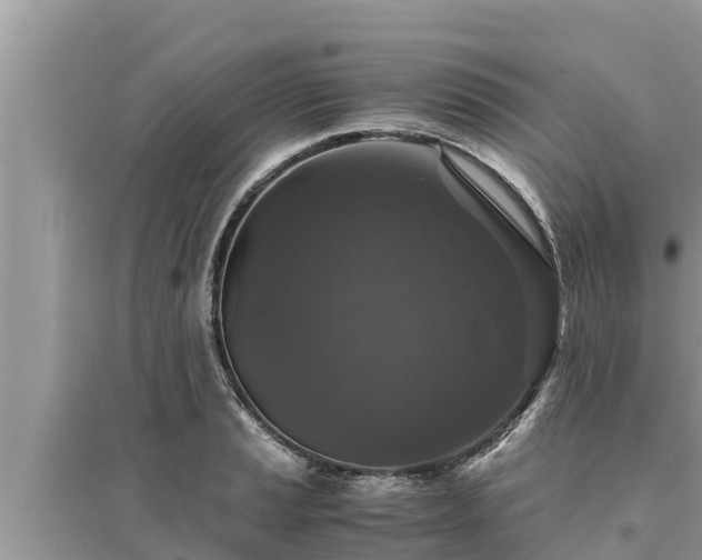 X0000095541037200712211343