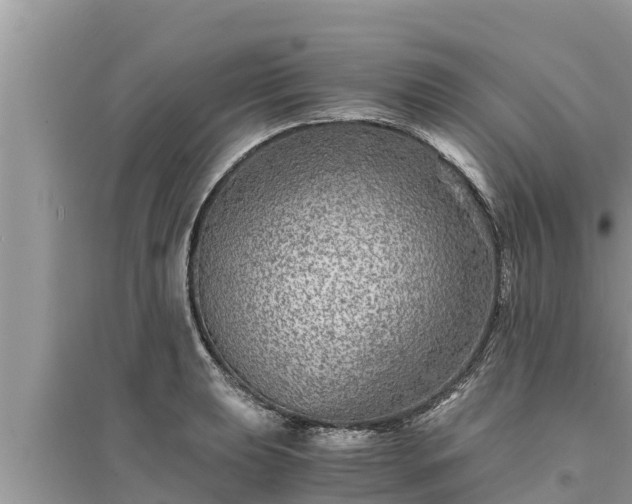 X0000095541039200712211343