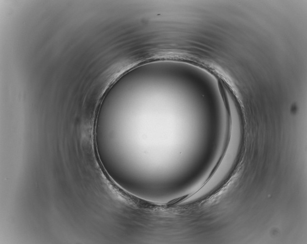 X0000095541041200712211343