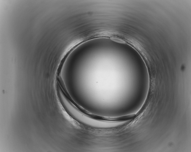 X0000095541042200712211343