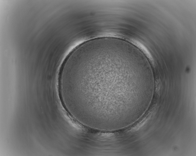 X0000095541043200712211343