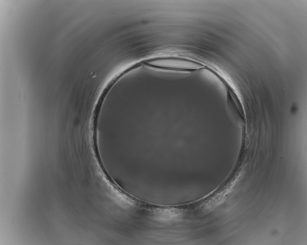 X0000095541045200712211343