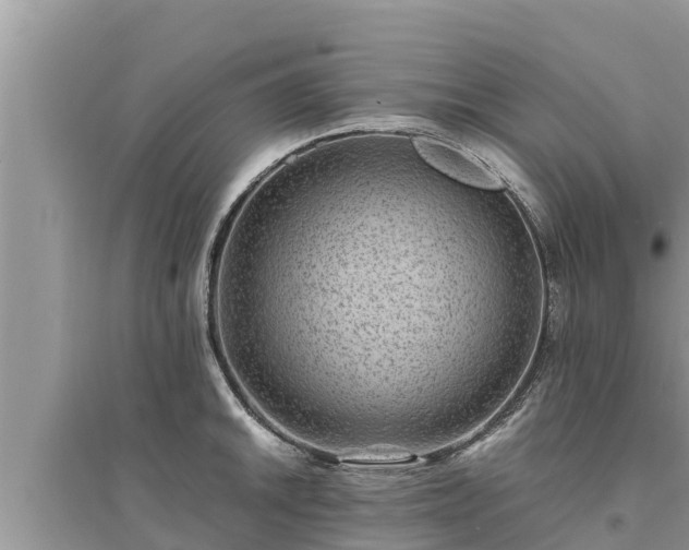 X0000095541046200712211343