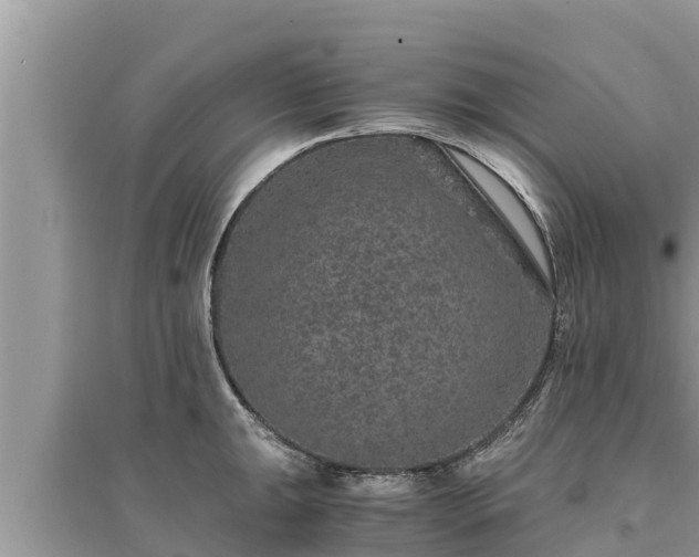 X0000095541047200712211343