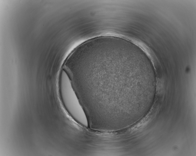 X0000095541048200712211343