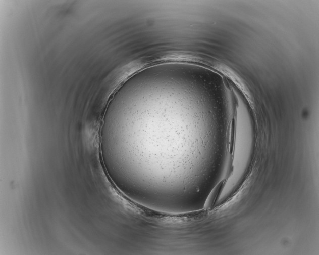 X0000095541049200712211343