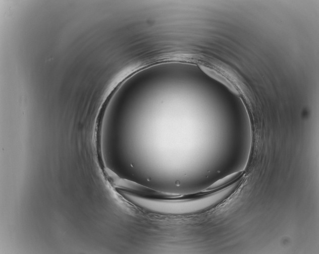 X0000095541050200712211343