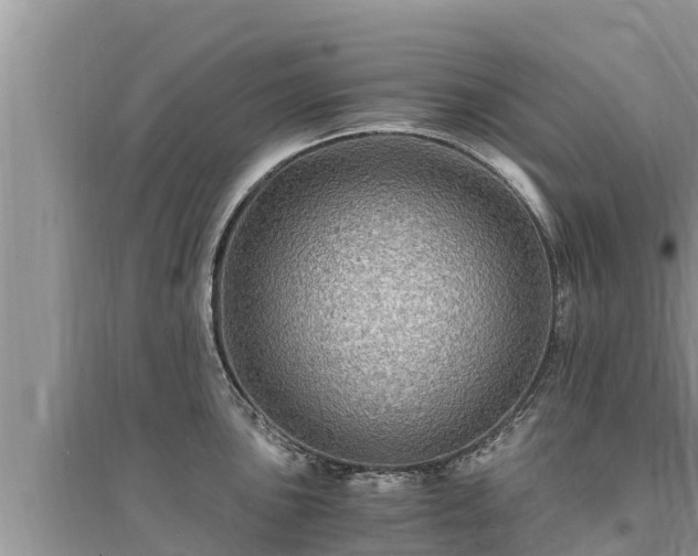 X0000095541051200712211343