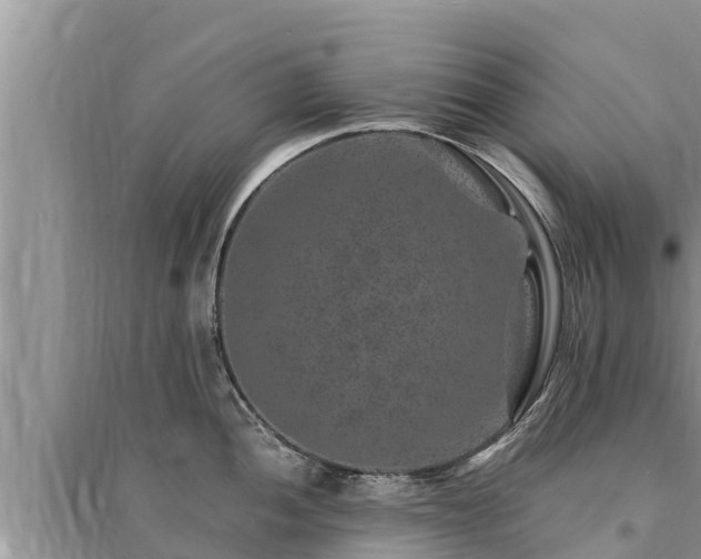 X0000095541052200712211343