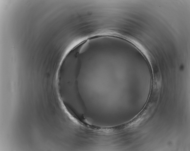 X0000095541053200712211343