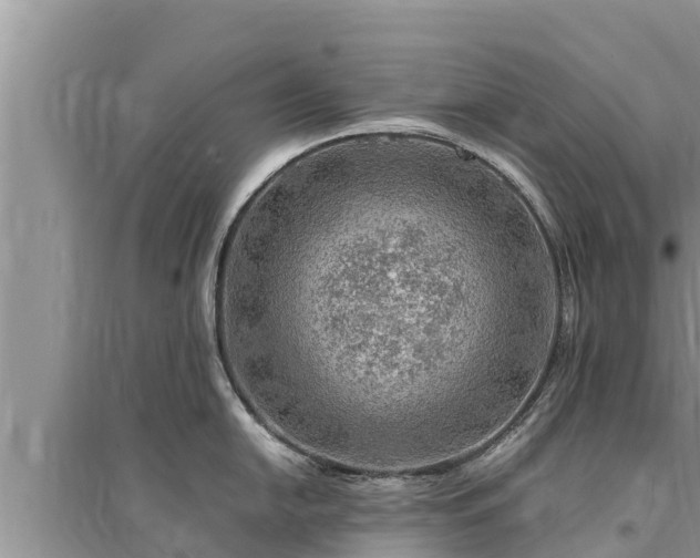 X0000095541054200712211343